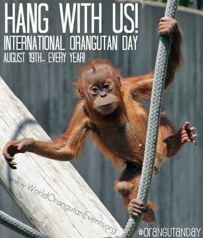 Orangutan Day- International Orangutan Day- World Orangutan Day - August 19th 