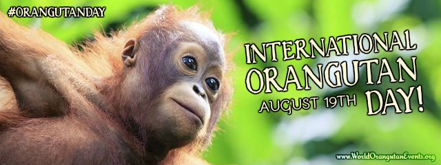 International Orangutan Events- Offical Event Poster- #OrangutanDay - World Orangutan Day