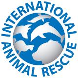 International Animal Rescue- World Orangutan Events