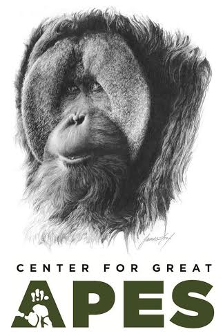Center For Great Apes - World Orangutan Events