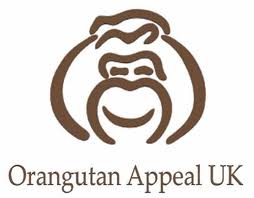 Orangutan Appeal UK- World Orangutan Events