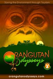 Orangutan Odysseys- World Orangutan Events