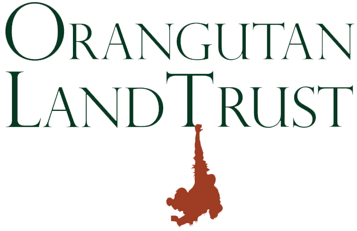 Orangutan Land Trust OLT- World Orangutan Events